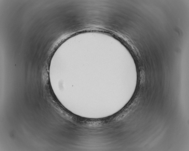 X0000111591363200908271000