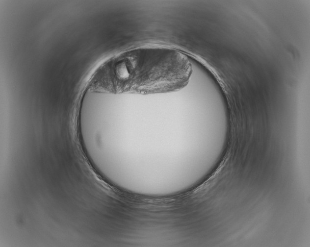 X0000111591367200908270959