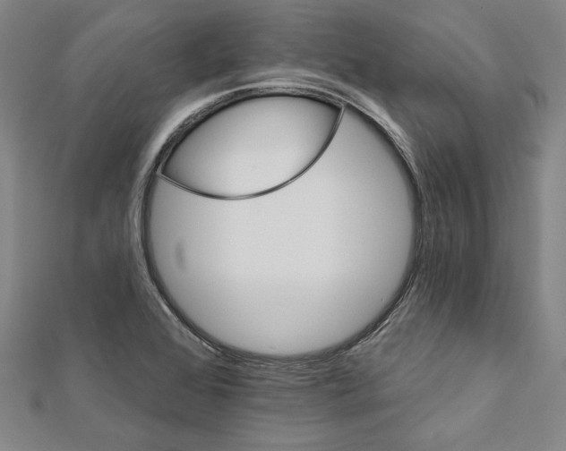 X0000111591368200908270959