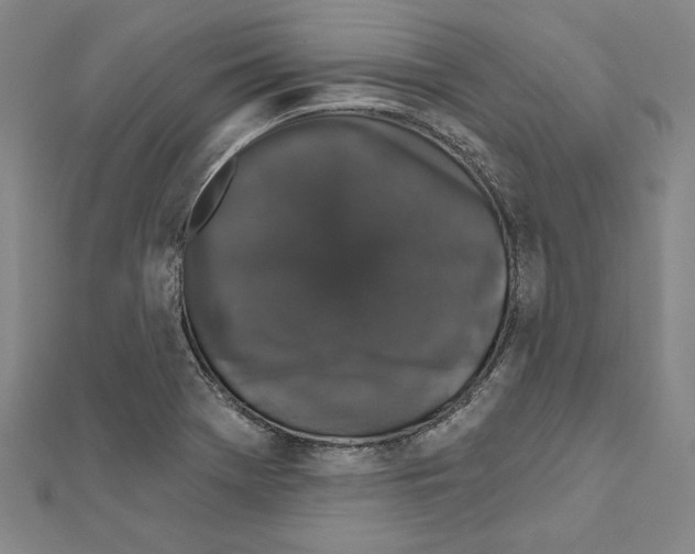 X0000111591369200908270959
