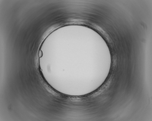 X0000111591370200908270959