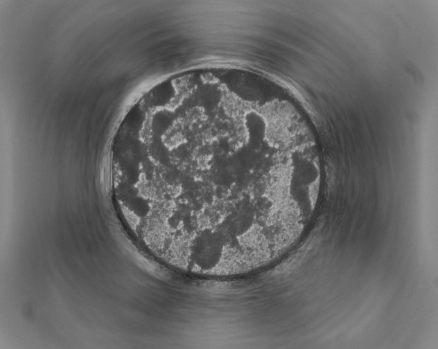 X0000111591371200908270959