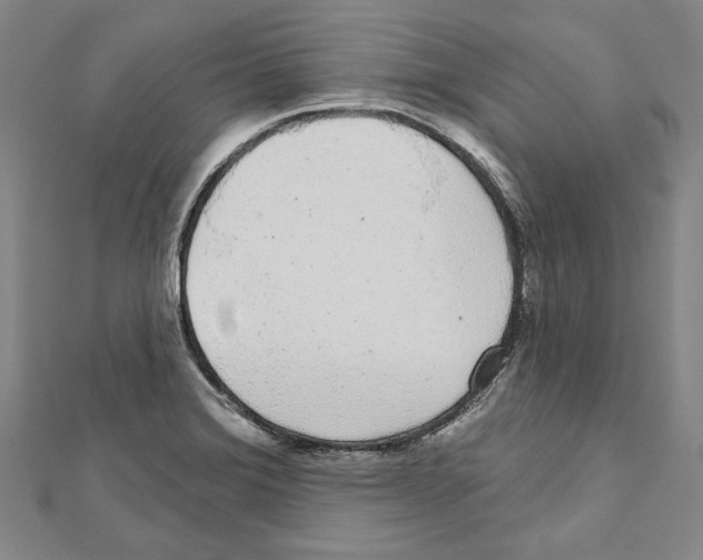 X0000111591372200908270959