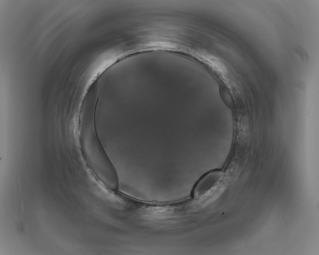X0000111591373200908270959