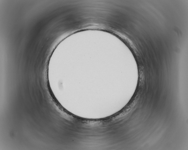 X0000111591375200908270959