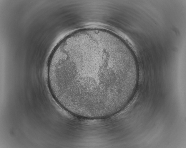 X0000111591376200908270959