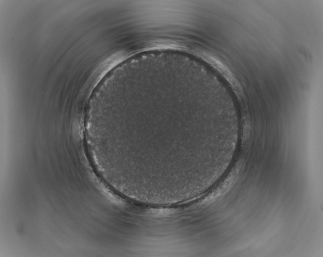 X0000111591377200908270959