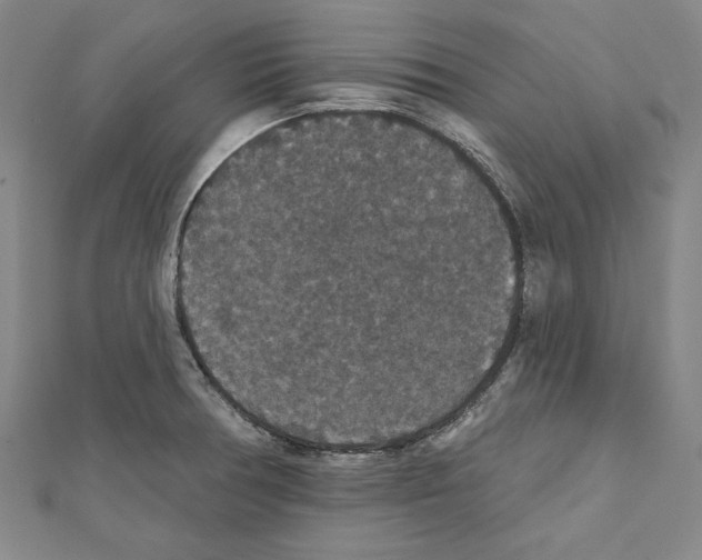 X0000111591378200908270959