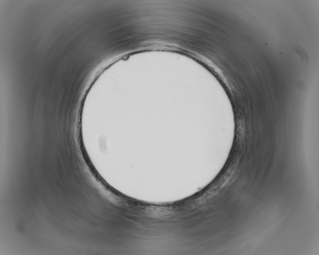 X0000111591379200908270959