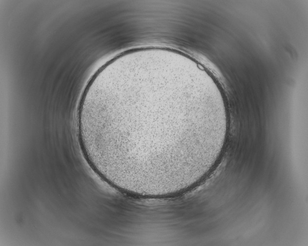 X0000111591380200908270959