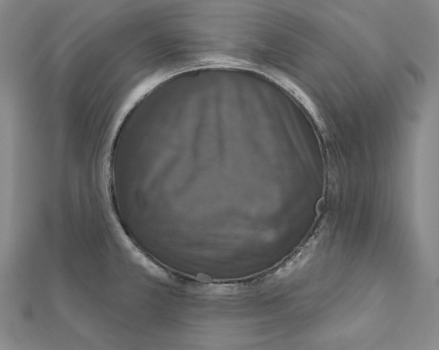 X0000111591381200908270959