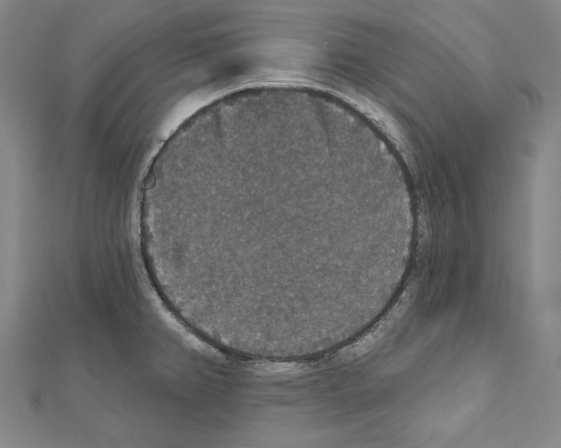 X0000111591382200908270959