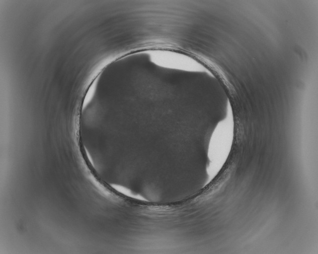 X0000111591383200908270959