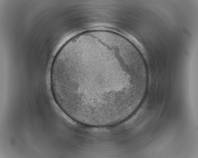 X0000111591384200908270959