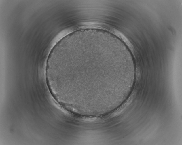 X0000111591386200908270959