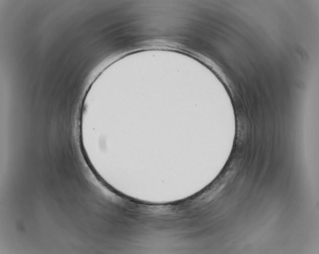 X0000111591387200908270959