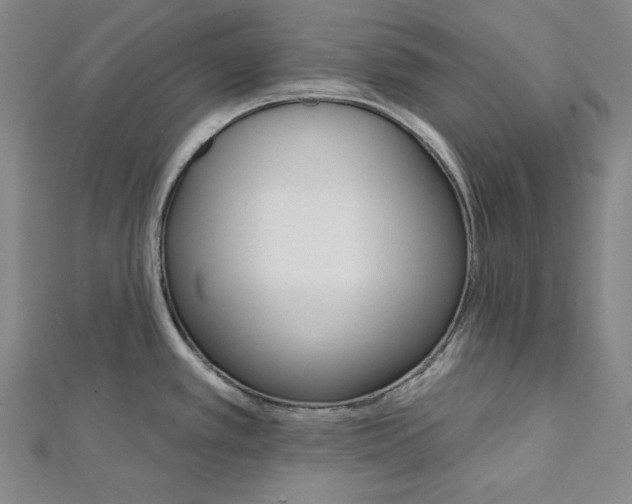 X0000111591389200908270959
