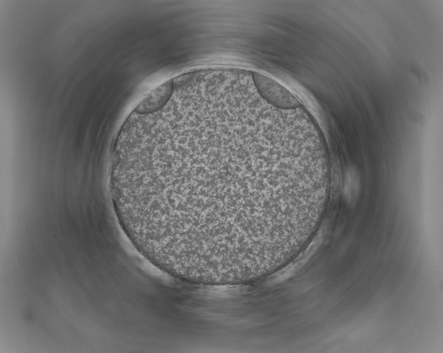 X0000111591390200908270959