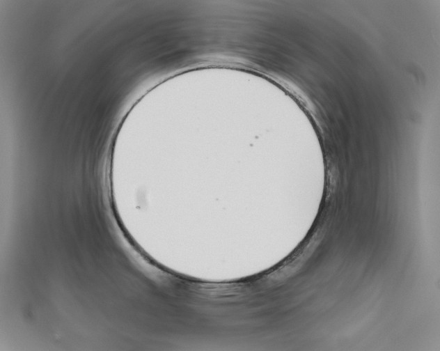 X0000111591391200908270959