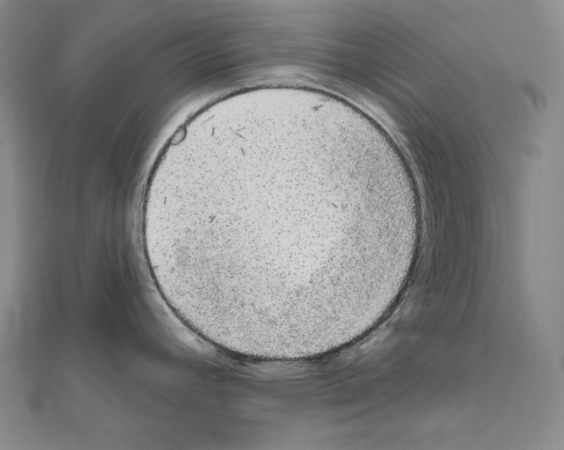 X0000111591392200908270959