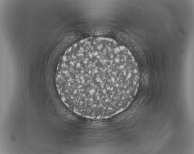 X0000111591393200908270958