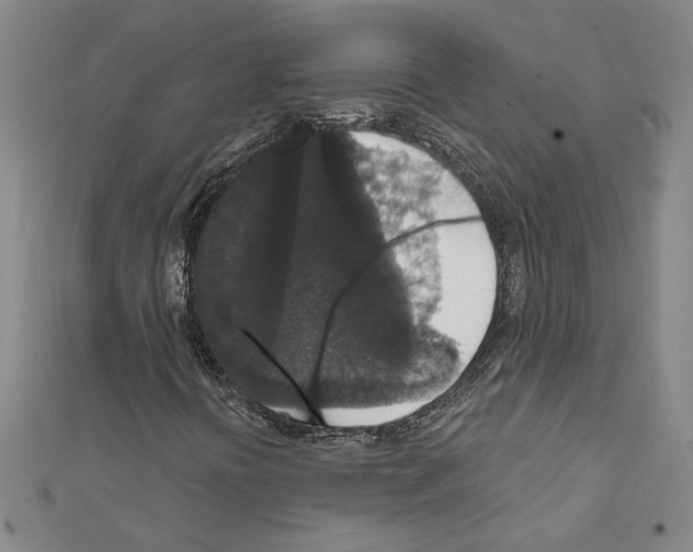 X0000111591394200908270958