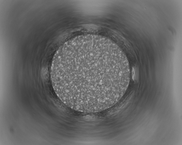 X0000111591395200908270958