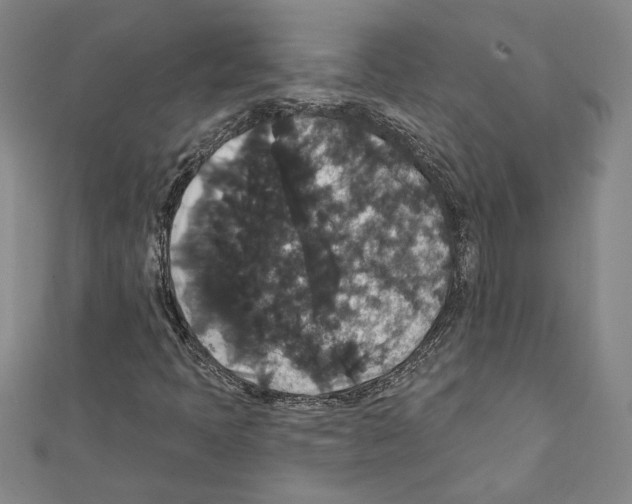 X0000111591397200908270958