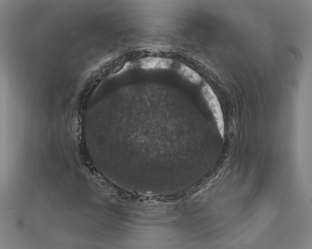 X0000111591398200908270959