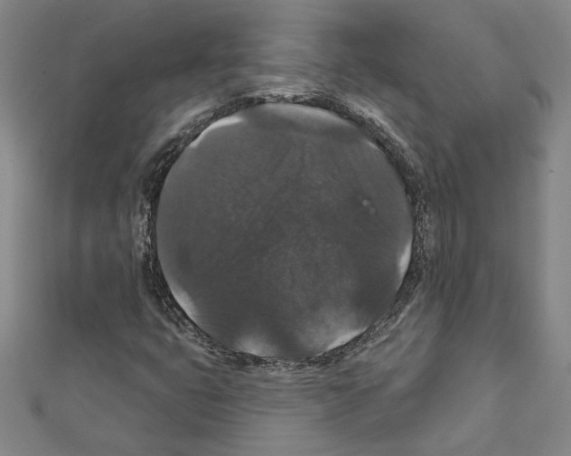 X0000111591399200908270959