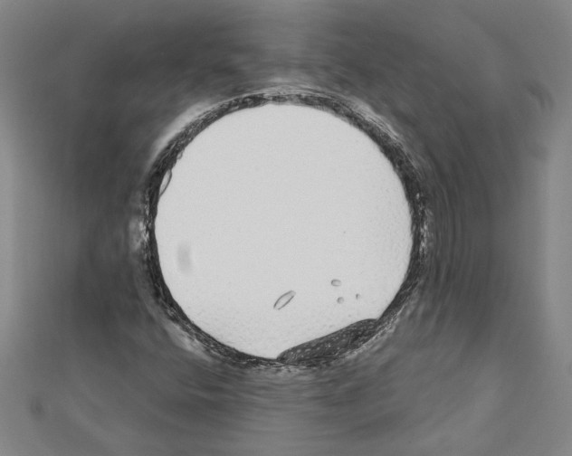 X0000111591400200908270959
