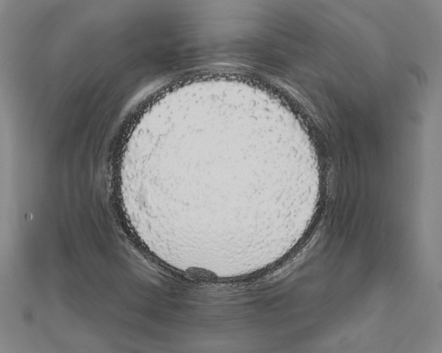 X0000111591402200908270959