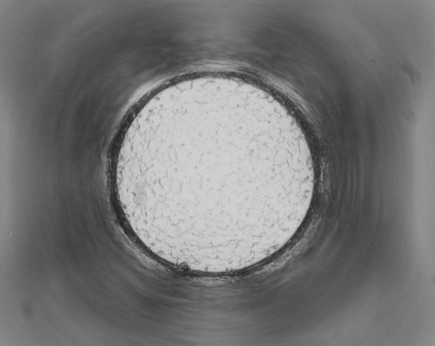 X0000111591404200908270959