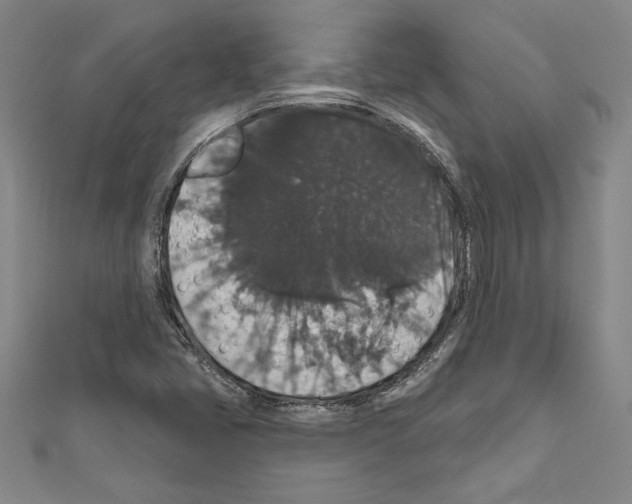 X0000111591405200908270959