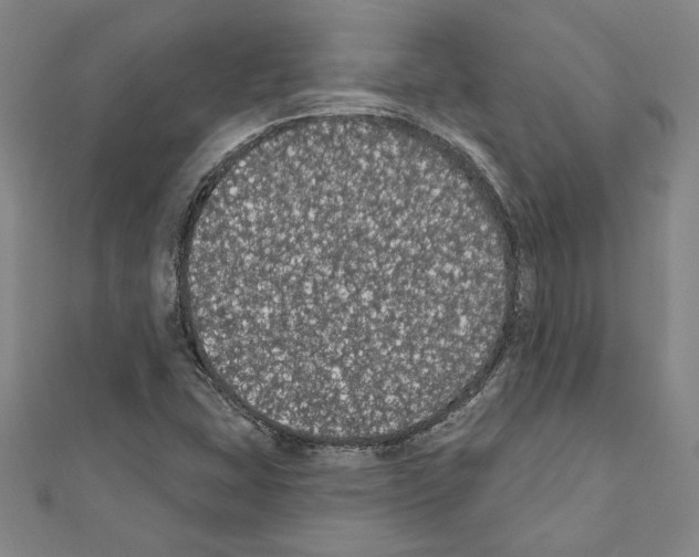 X0000111591407200908270959