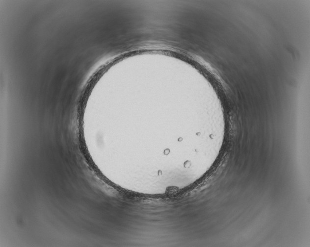 X0000111591408200908270959