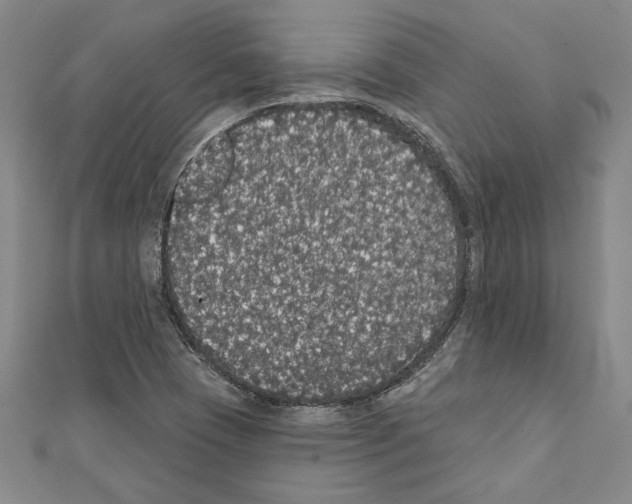 X0000111591409200908270959