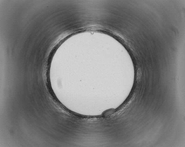 X0000111591410200908270959