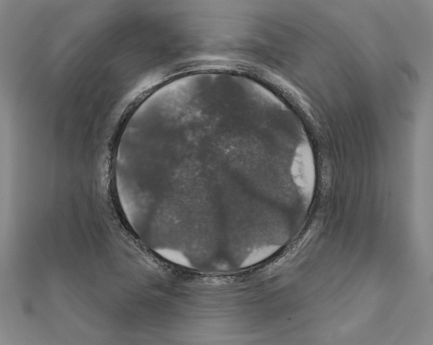 X0000111591411200908270959