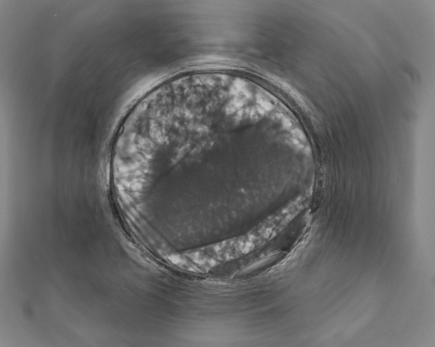 X0000111591413200908270959