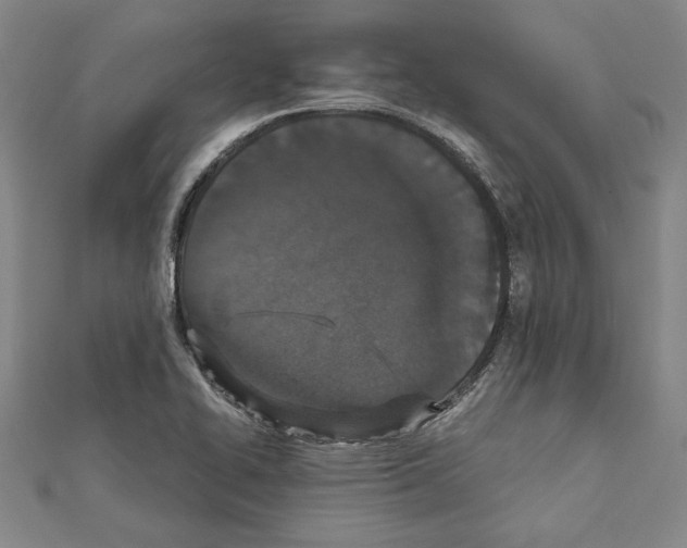 X0000111591414200908270959