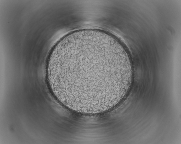 X0000111591415200908270959