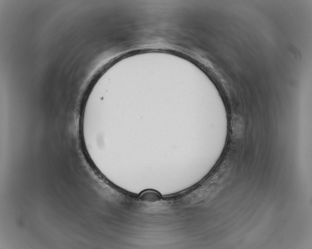 X0000111591416200908270959