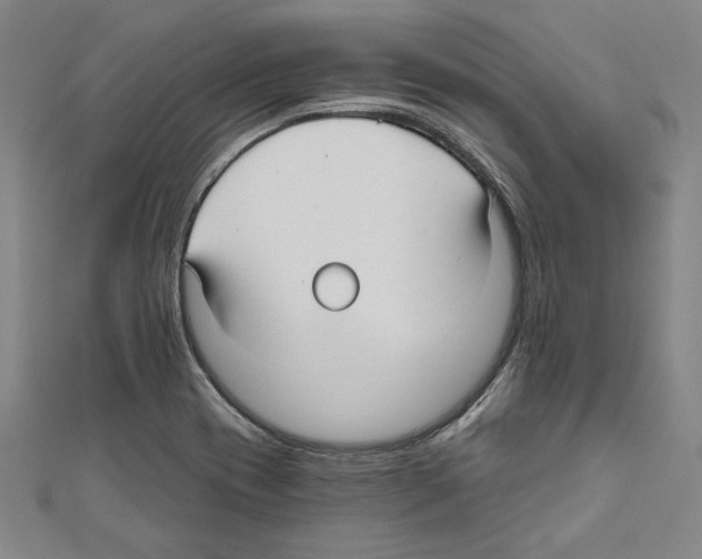 X0000111591417200908270959