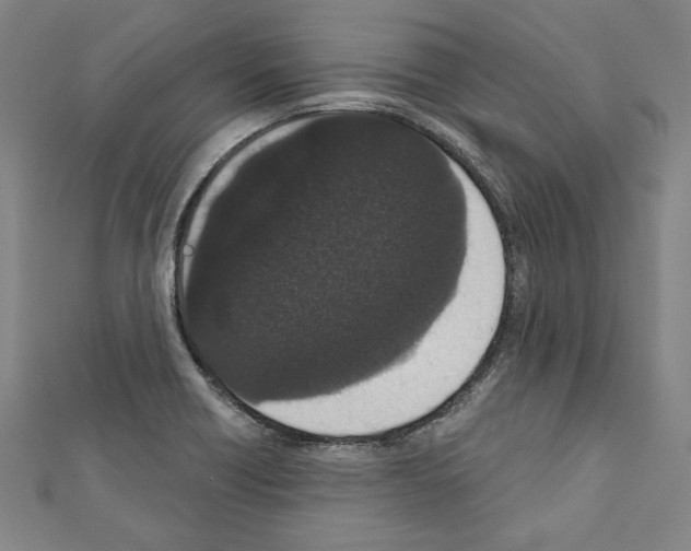 X0000111591418200908270959
