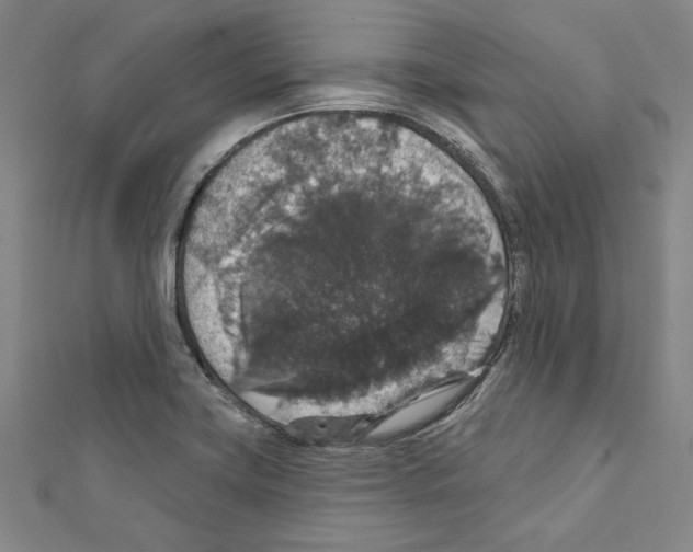 X0000111591419200908270959