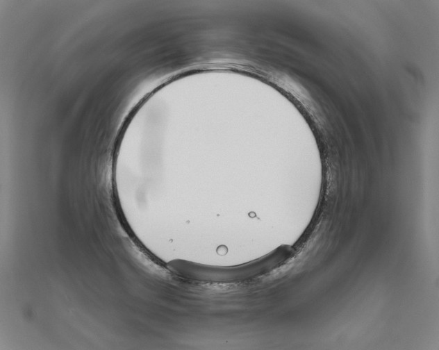 X0000111591420200908270959