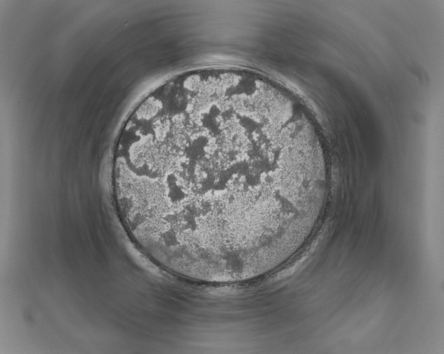 X0000111591421200908270959