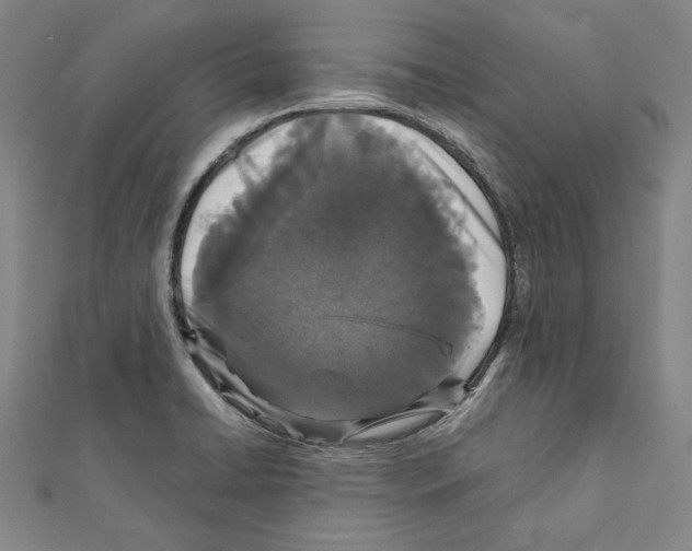 X0000111591422200908270959