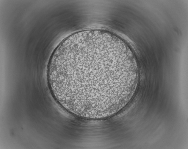 X0000111591423200908270959